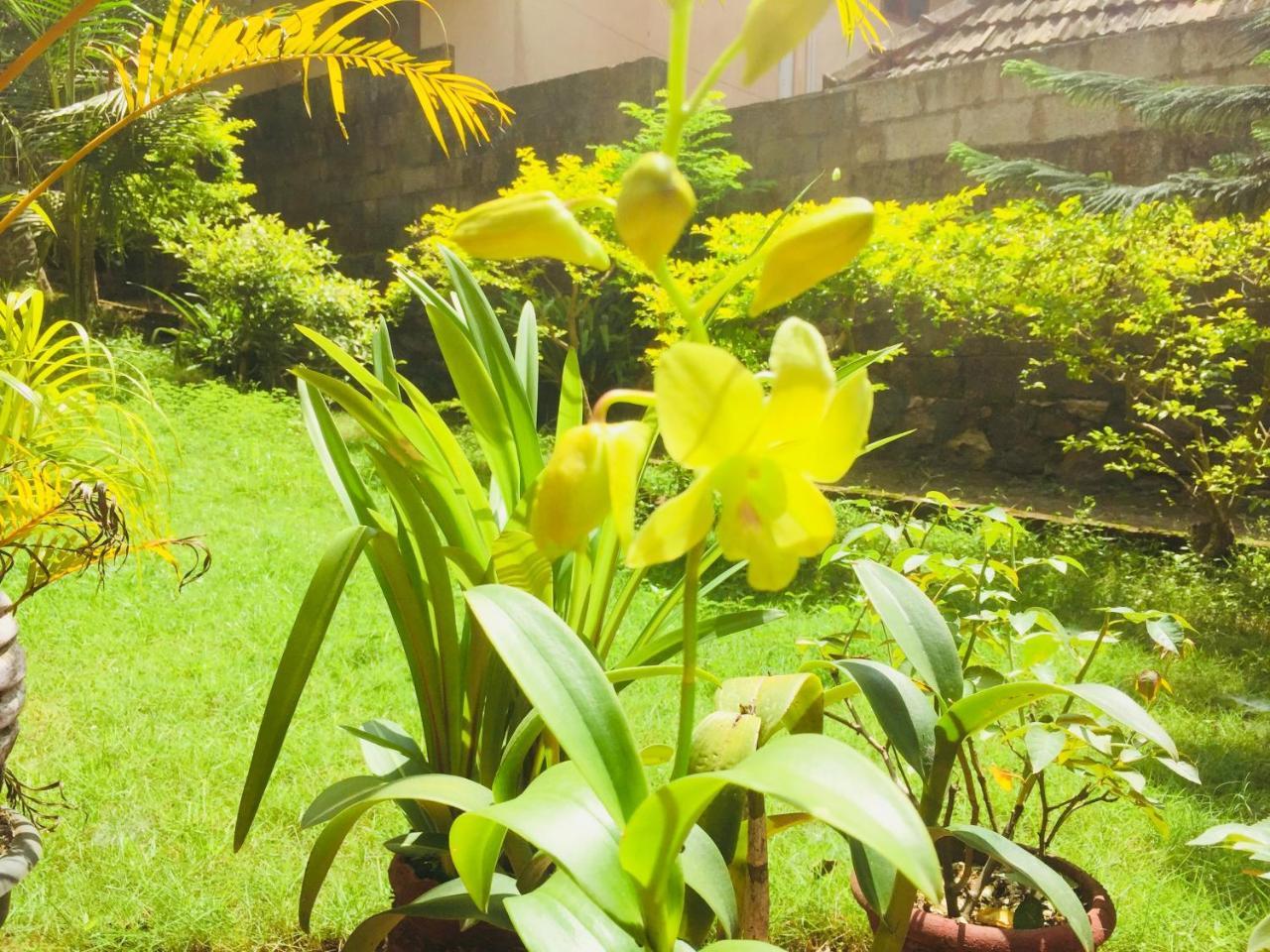 Ganesh House Homestay كوفالام المظهر الخارجي الصورة
